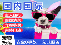 王村航空运输国际宠物托运 【国